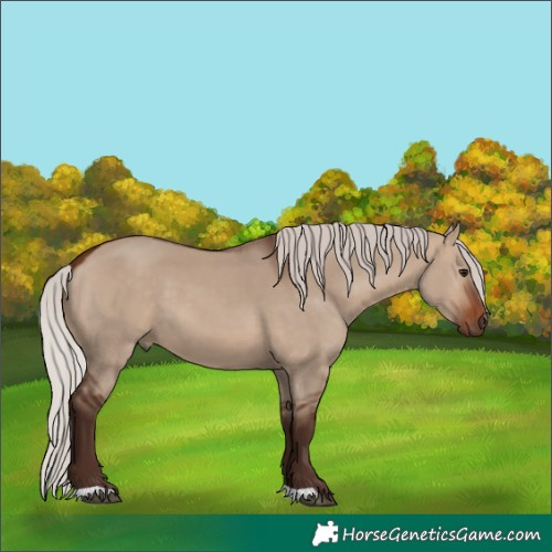 Horse Color:Silver Brown Dun