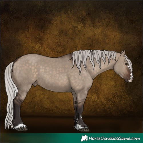 Horse Color:Silver Brown Dun 