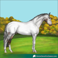 Horse Color:Gray Liver Chestnut Ice Tobiano Near Fewspot 