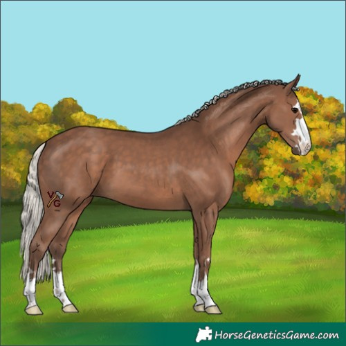 Horse Color:Silver Black 