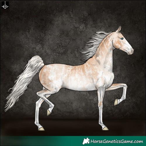 Horse Color:Cremello Sabino  and Gray Cremello Sabino 