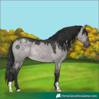 Horse Color:Platinum Brown Dun