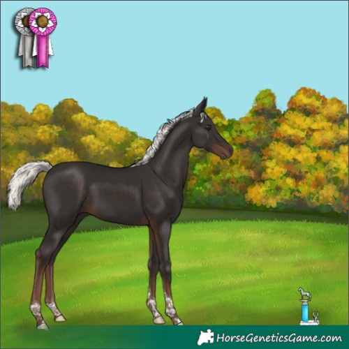 Horse Color:Liver Chestnut Mushroom Tobiano 