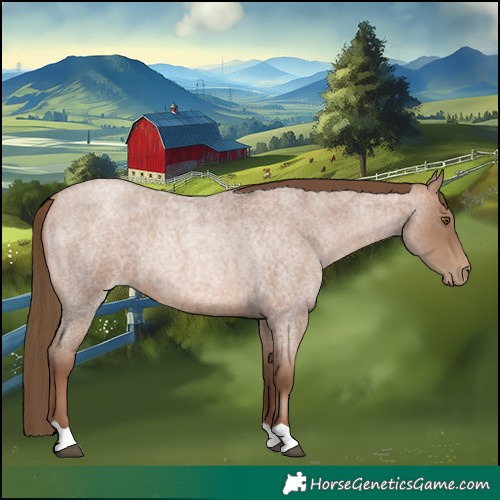 Horse Color:Brown Roan Pearl 