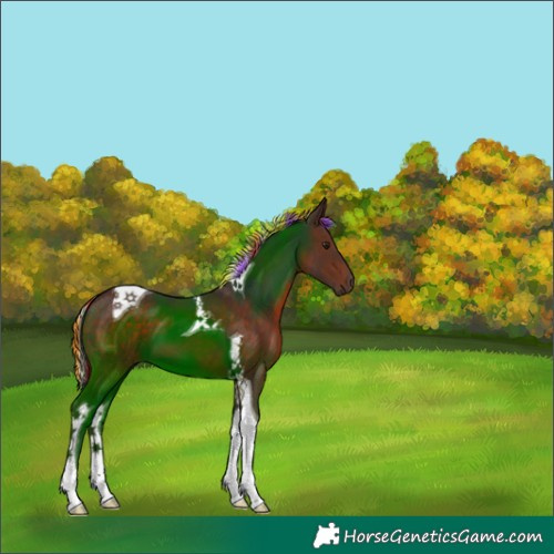 Horse Color:Painted Silver Brown Tobiano 
