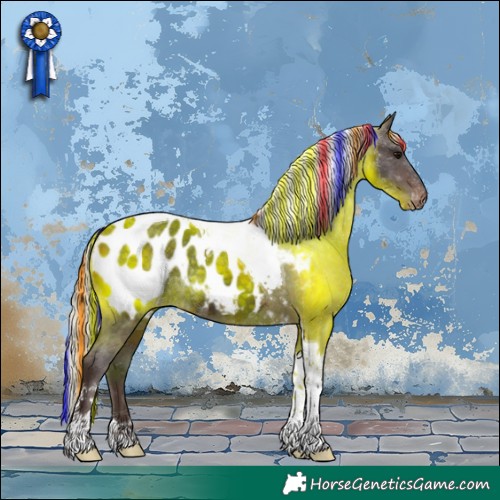 Horse Color:Painted Silver Brown Tobiano Appaloosa 