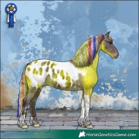 Horse Color:Painted Silver Brown Tobiano Appaloosa