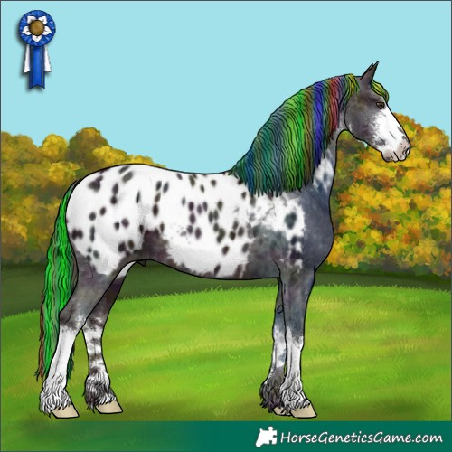 Horse Color:Painted White Spotted Midnight Chestnut Ice Near Leopard 