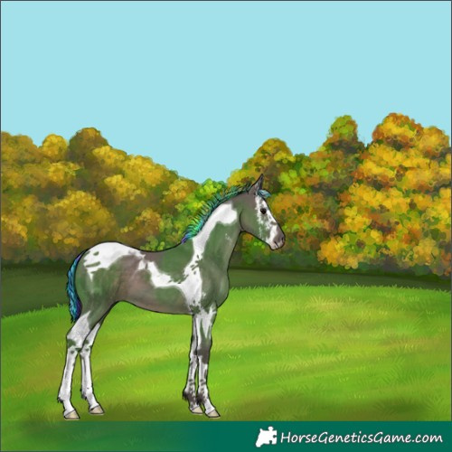 Horse Color:Painted Silver Black Sabino Tobiano 