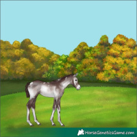Horse Color:Platinum White Spotted Chocolate Brown Onyx
