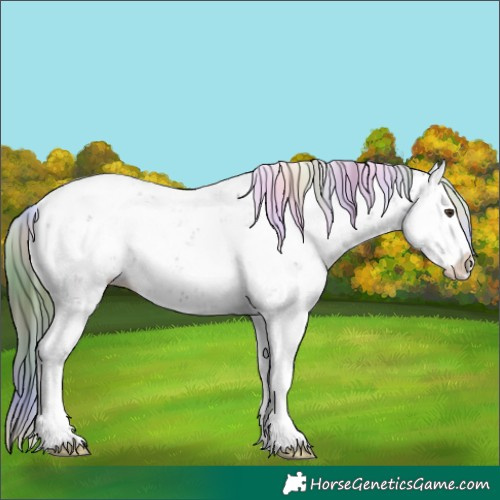 Horse Color:Nacre Liver Chestnut Sabino Splash Appaloosa 