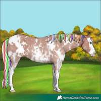 Horse Color:Painted White Spotted Silver Grullo Sabino Splash Varnish