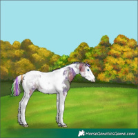 Horse Color:Painted Nacre Liver Red Dun Splash Tobiano Varnish 