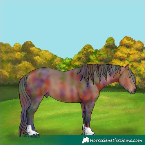 Horse Color:Nacre Bay Tobiano 