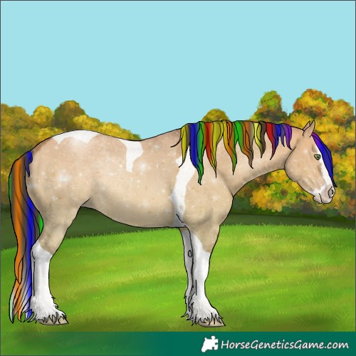 Horse Color:Painted Sable Champagne Dun Splash Tobiano 