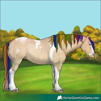 Horse Color:Painted Sable Champagne Dun Splash Tobiano
