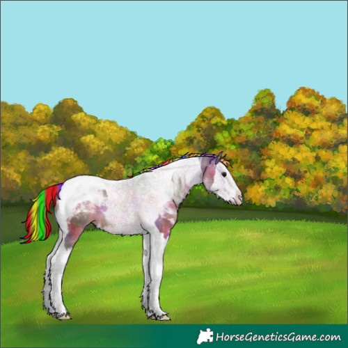 Horse Color:Painted Nacre Brown Dun Splash Tobiano Varnish 
