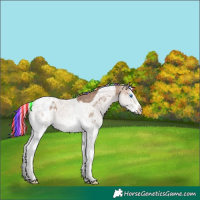 Horse Color:Painted Silver Brown Dun Splash Tobiano Varnish 