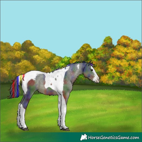 Horse Color:Painted Nacre Brown Splash Tobiano Varnish