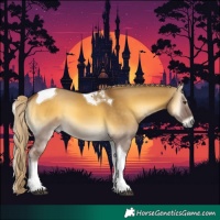 Horse Color:Chocolate Palomino Onyx Tobiano 