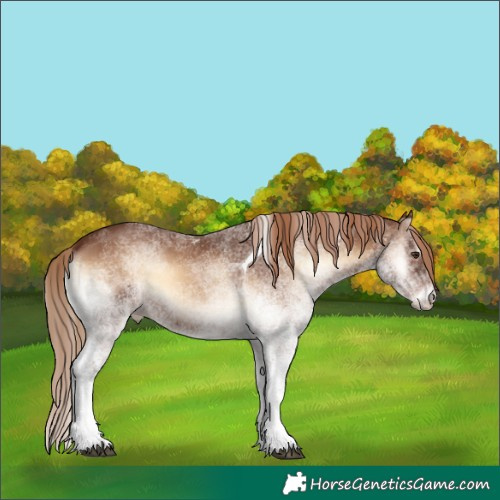 Horse Color:White Spotted Red Onyx Tobiano 