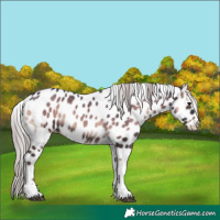 Horse Color:Silver Blue Onyx Tobiano Leopard 