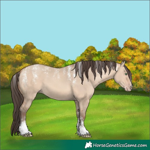 Horse Color:Powder White Amber Champagne Dun 