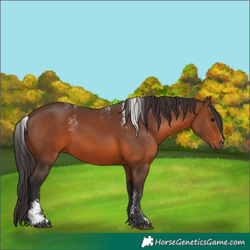 Horse Color:Powder White Brown 