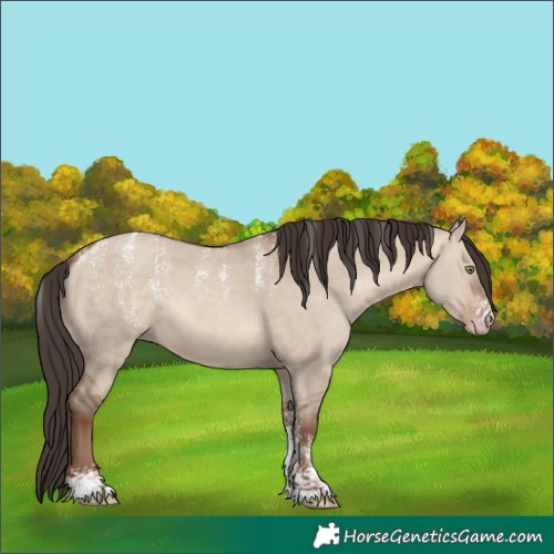Horse Color:Powder White Sable Champagne Dun Rabicano 