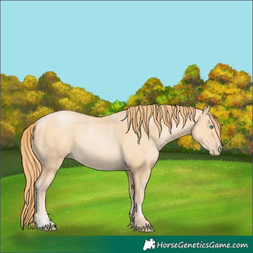 Horse Color:Powder White Buckskin Pearl 