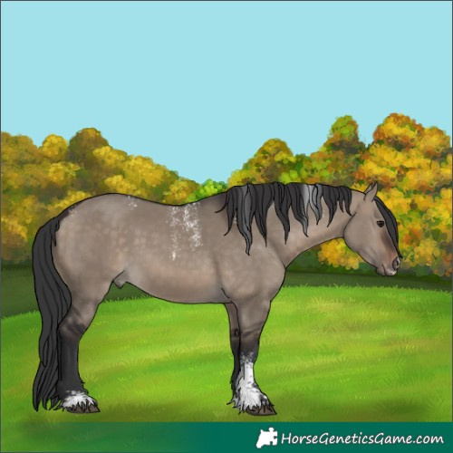 Horse Color:Powder White Brown Dun Rabicano 