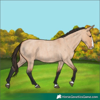 Horse Color:Bay Roan Dun Splash 