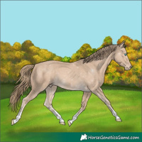 Horse Color:Chocolate Smoky Creme 