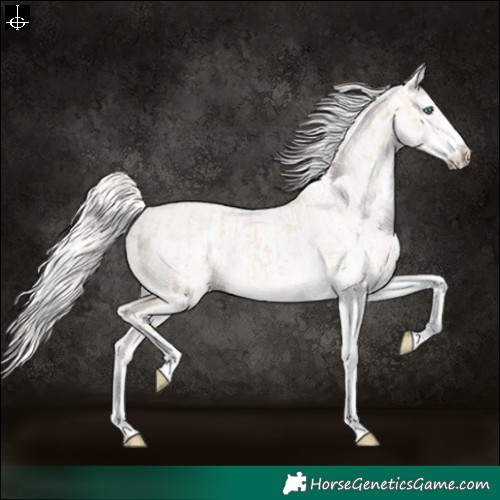 Horse Color:Cremello Sabino and Cremello Sabino