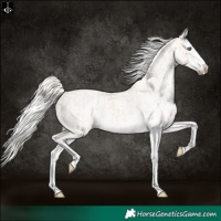 Horse Color:Cremello Sabino  and Cremello Sabino 