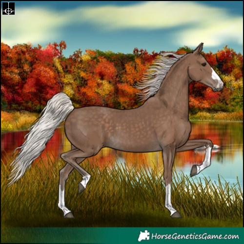 Horse Color:Silver Black 
