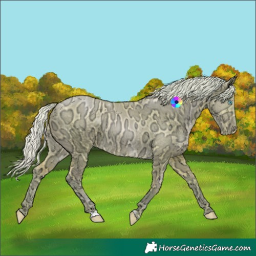 Horse Color:Watercolor Silver Buckskin Ice Pearl Dun 