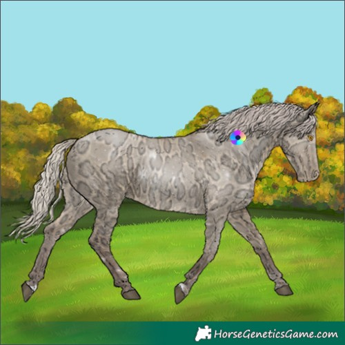 Horse Color:Gray Silver Grullo Ice Pearl 
