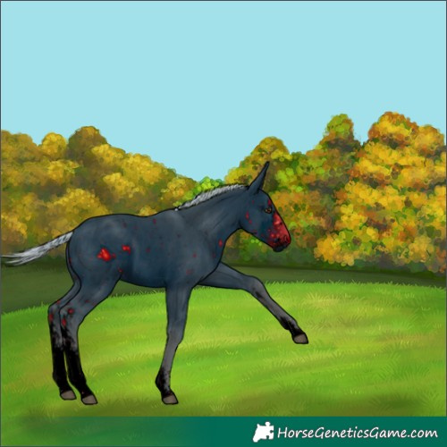 Horse Color:ERROR: UNKNOWN ANOMALY