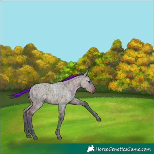 Horse Color:Gray Painted Nacre Brown Ice Roan Dun 