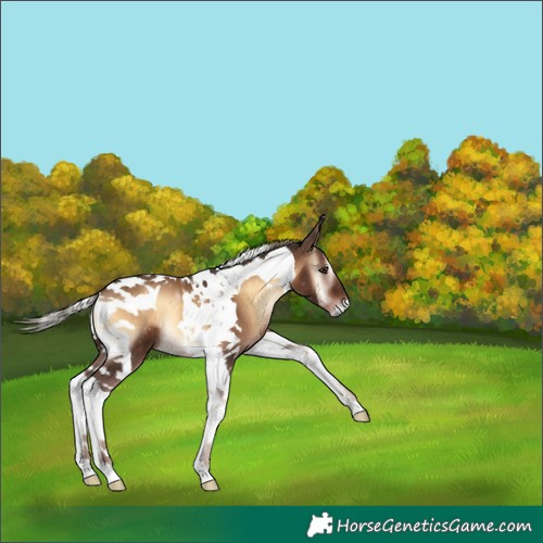 Horse Color:Liver Red Onyx Tobiano 