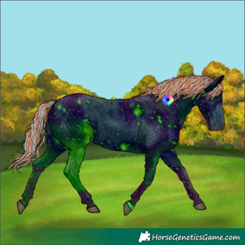 Horse Color:ERROR: UNKNOWN ANOMALY