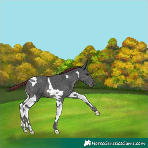Horse Color:Painted Black Ice Tobiano 