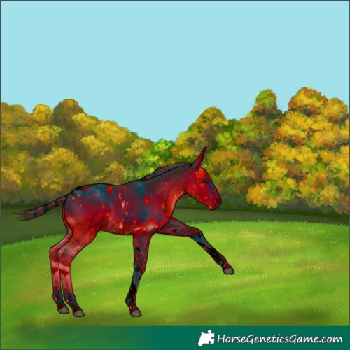 Horse Color:ERROR: UNKNOWN ANOMALY