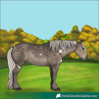 Horse Color:White Spotted Silver Smoky Black