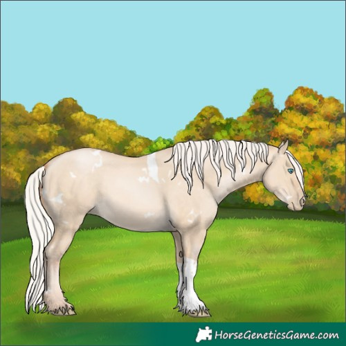 Horse Color:White Spotted Silver Buckskin Pearl Dun Tobiano Rabicano 