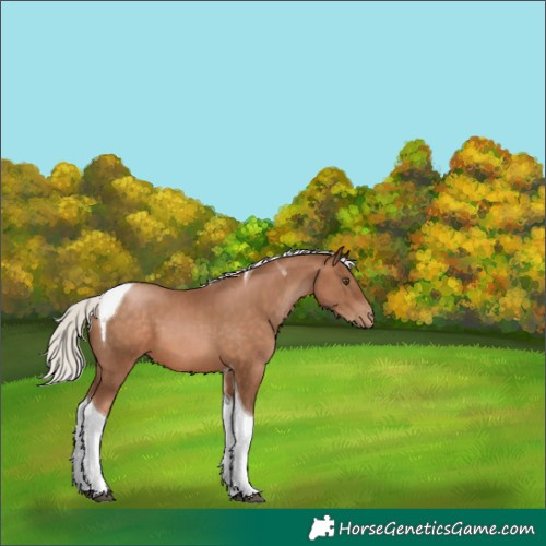 Horse Color:Silver Brown Pearl Tobiano 