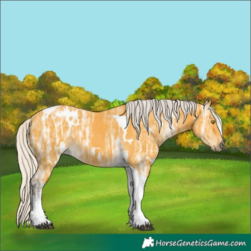 Horse Color:White Spotted Silver Buckskin Ice Tobiano 
