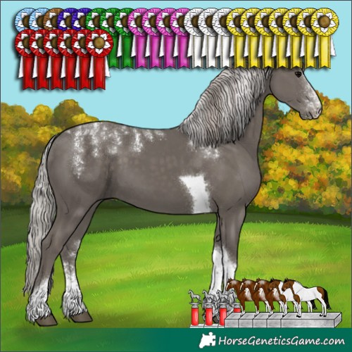 Horse Color:Powder White Silver Black Tobiano 