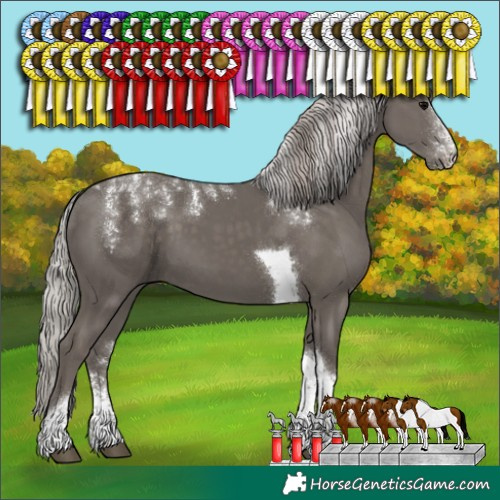Horse Color:Powder White Silver Black Tobiano 